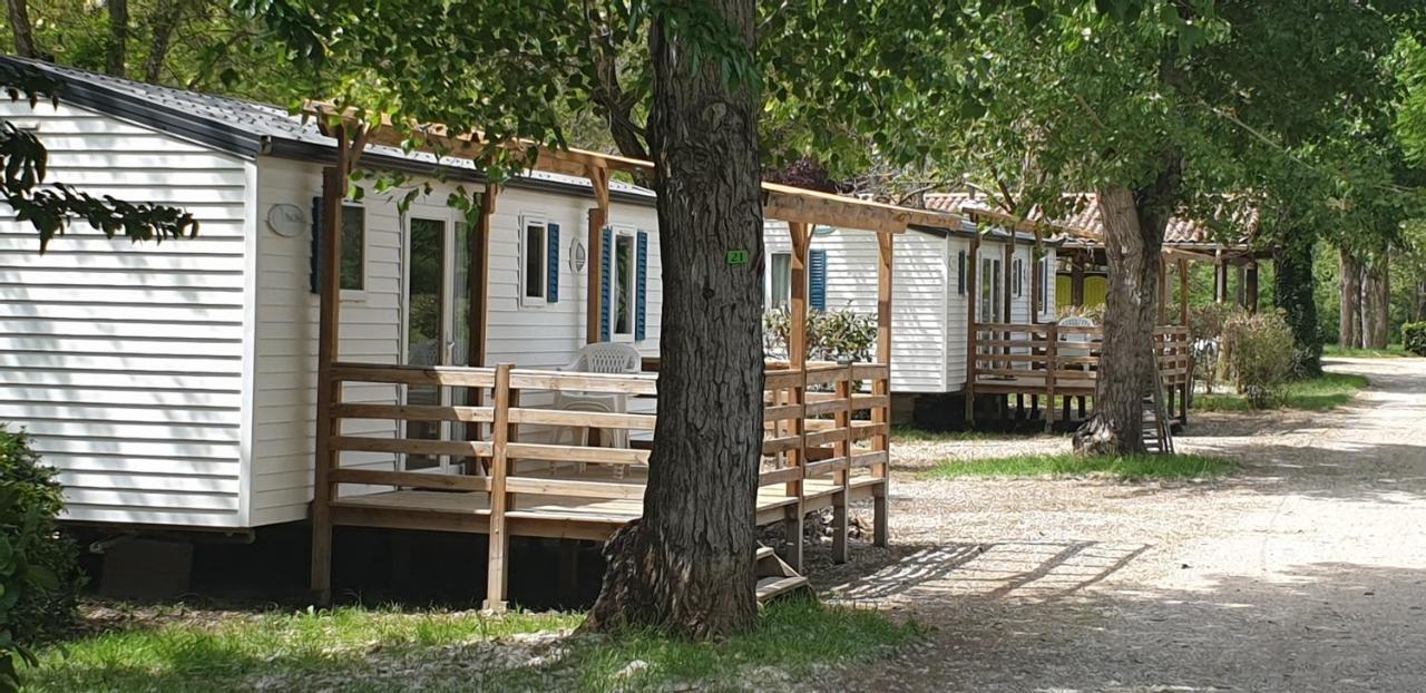 Campingplatz Avec Piscine Et Riviere A Sur Rhone Ardeche